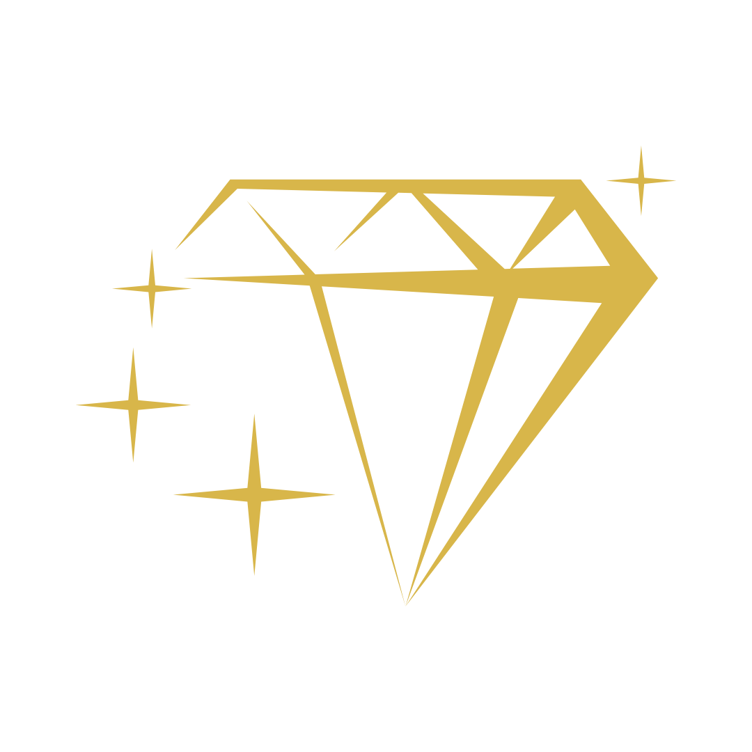 Custom Design Options icon